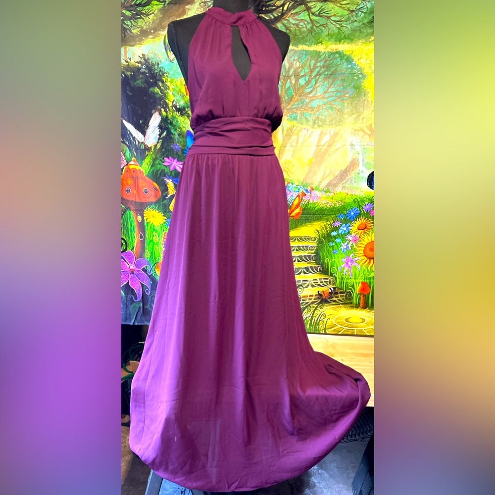 NWT formal sexy plum dress